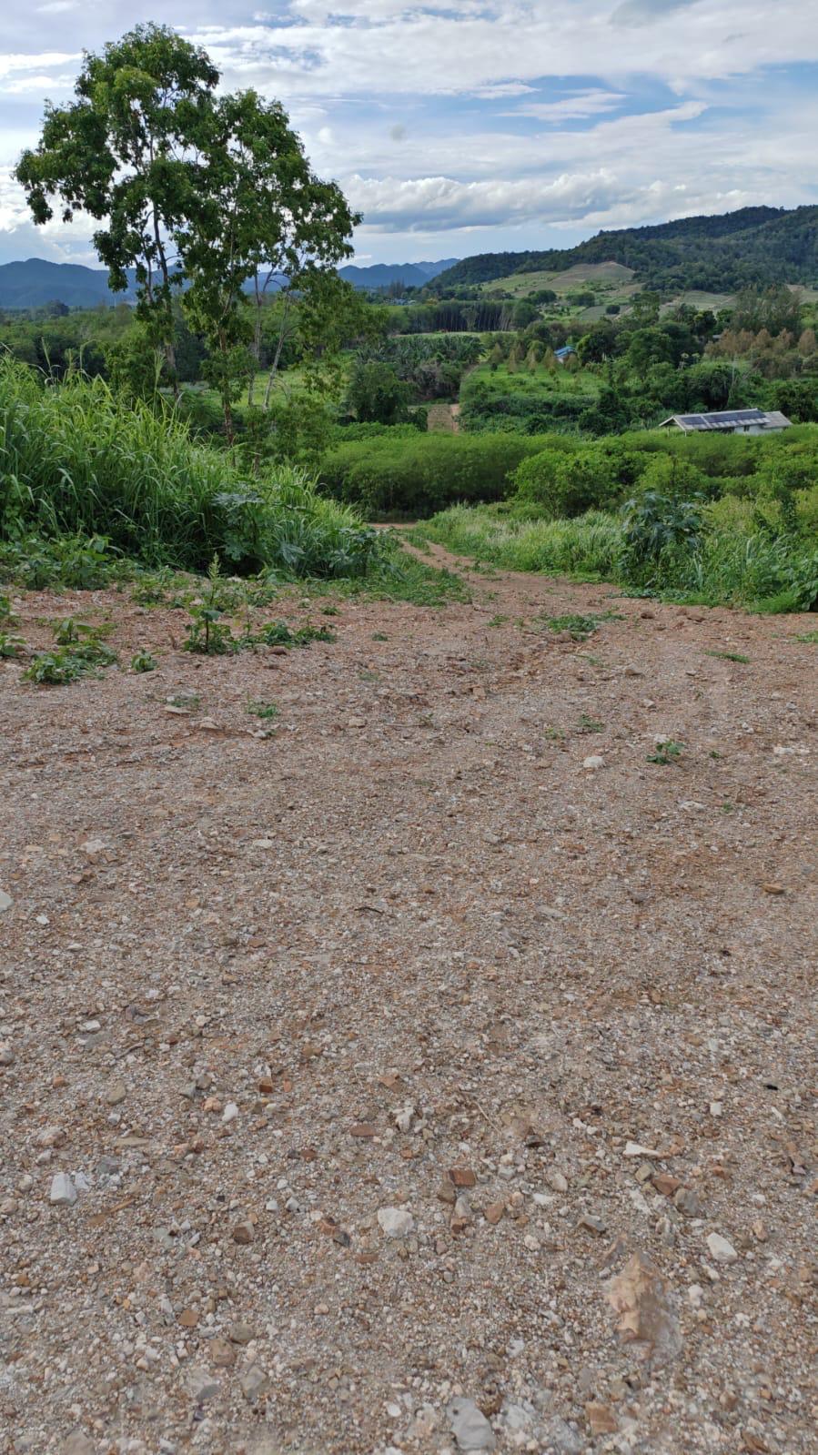 Access road crossing the land toward the house